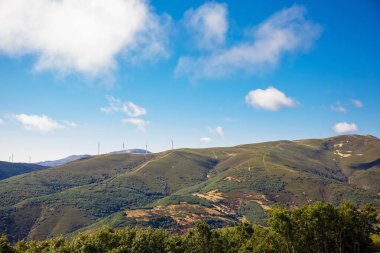 Güzel doğal manzara