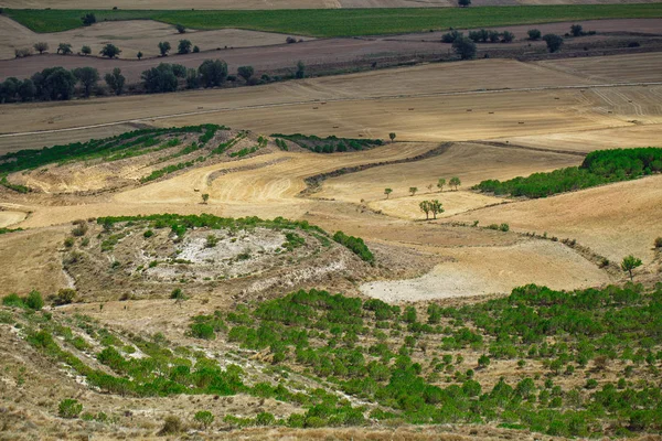 Güzel doğal manzara