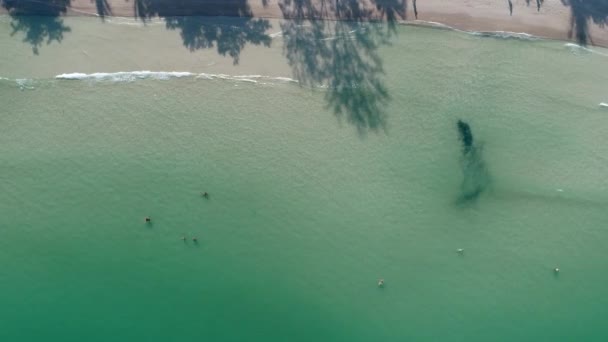 Beleza paisagem natureza com praia, mar e selva na Tailândia. Vídeo de drones. 4k . — Vídeo de Stock