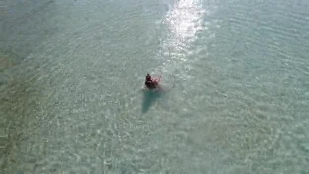 赤ちゃんの母親は純粋な青い海で泳いでいます。. — ストック動画