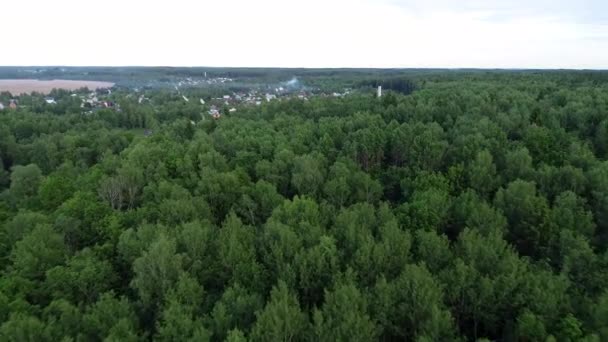 4K HD Câmera de exibição aérea se move subindo da floresta verde . — Vídeo de Stock