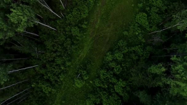 4K HD La caméra de vue aérienne se déplace vers le haut de la forêt verte .