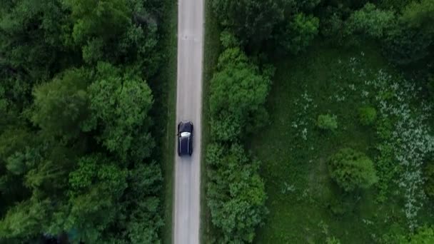 Byvägen. Bilen Rider längs vägen mellan träd och hus. — Stockvideo