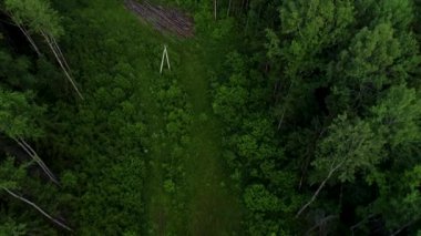 4 k Hd havadan görünümü kamera hamle kadar yükselen yeşil orman.