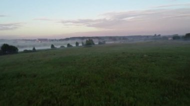 4 k. sinematik havadan görüntüleri. Sabah sis, şafak güneş ışınlarının orman göl. Drone görüntüleri.