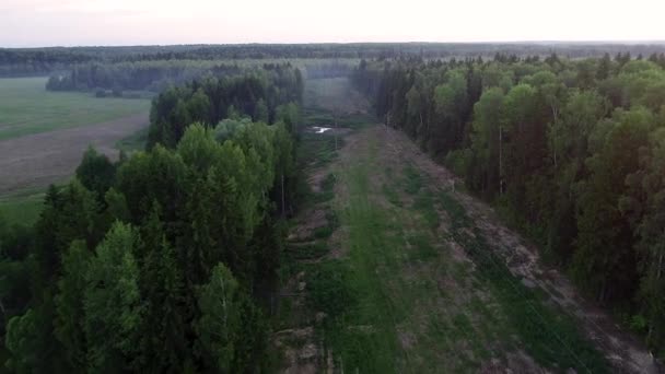 4 k Hd légifelvételek kamera mozog a zöld erdő emelkedik. — Stock videók