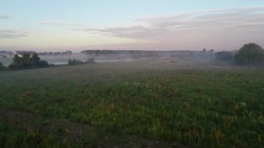 Sabah sis, şafak güneş ışınlarının gölde orman