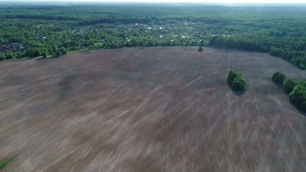 Bellissimo piccolo villaggio vicino al campo agricolo in una bellissima foresta verde . — Video Stock