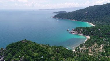 Plaj, tropikal ada, deniz defne ve lagün, ormanlarda