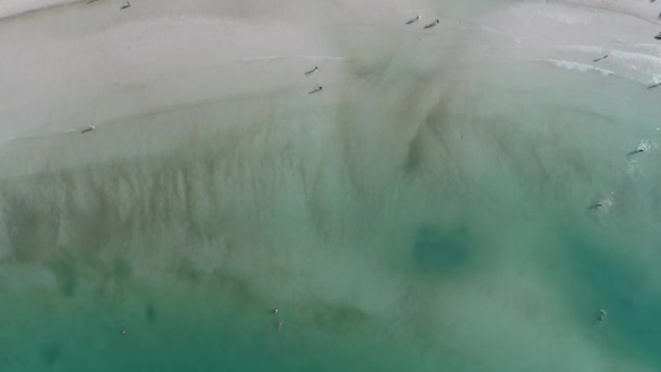 Touristen ruhen sich an einem schönen Strand aus — Stockvideo