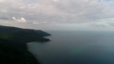 Uçan güzel yemyeşil yeşil orman palmiye ağaçları ile yukarıda