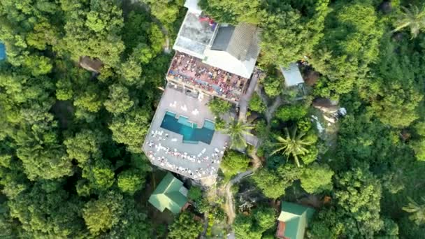 Flygande ovanför vackra lummiga gröna djungeln med palmer — Stockvideo