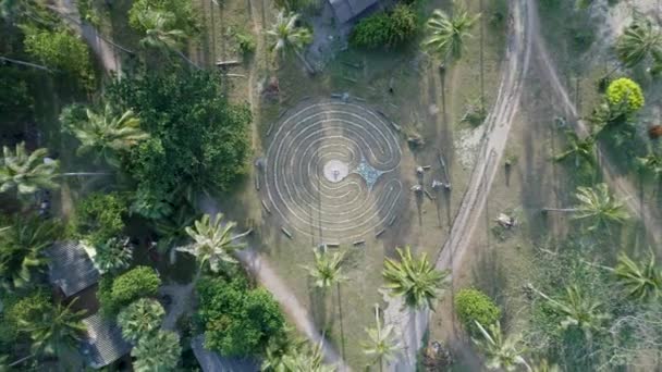 Uçan güzel yemyeşil yeşil orman palmiye ağaçları ile yukarıda — Stok video