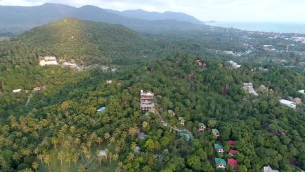 Volando sopra bella giungla verde lussureggiante con palme — Video Stock