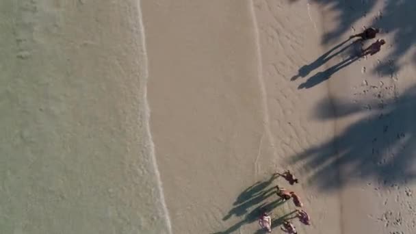 游客们正在一个美丽的海滩上休息 — 图库视频影像