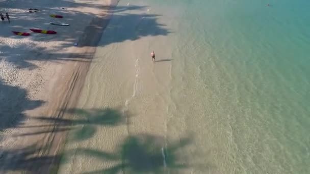 I turisti stanno riposando su una bella spiaggia — Video Stock