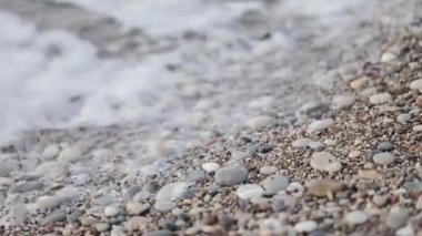 Yeni doğan kaplumbağalar dalga deniz çalıştırmak