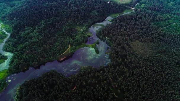 Turkuaz su ve yeşil ağaçlarla dolu bir göl. Nehirler, ormanlar, göl manzarası — Stok video