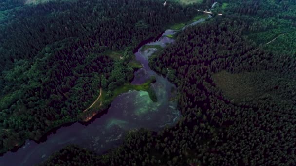 Lake with turquoise water and green trees. Landscape with rivers, forest, lake — Stock Video