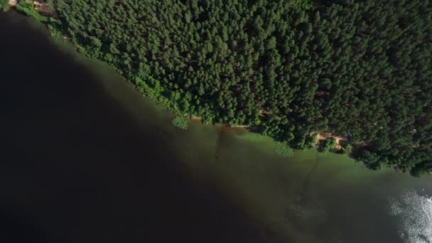 Turkuaz su ve yeşil ağaçlarla dolu bir göl. Nehirler, ormanlar, göl manzarası — Stok video