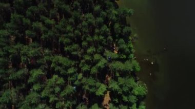 Güzel sabah yeşil orman. Ağaçlar, çadır, araba tepesinden görüntülemek.