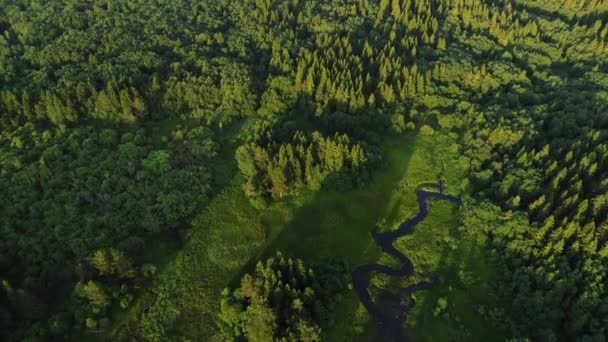 Sjön med turkost vatten och gröna träd. Landskap med floder, skog, sjö — Stockvideo