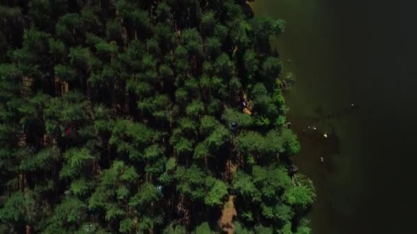 Linda floresta verde matinal. Vista do topo das árvores, tendas, carros . — Vídeo de Stock