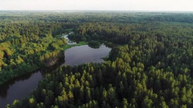 Turkuaz su ve yeşil ağaçlarla dolu bir göl. Nehirler, ormanlar, göl manzarası