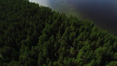 Güzel sabah yeşil orman. Ağaçlar, çadır, araba tepesinden görüntülemek.