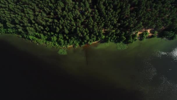 Озеро з бірюзовою водою та зеленими деревами. Пейзаж з річками, лісом, озером — стокове відео