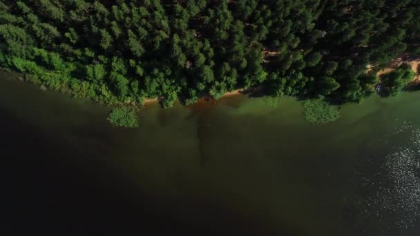 Озеро с бирюзовой водой и зелеными деревьями Пейзаж с реками, лесом, озером — стоковое видео