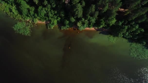 ターコイズブルーの水と緑の木で湖。川、森、湖の風景 — ストック動画