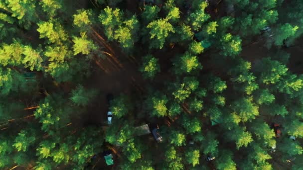 Mooie ochtend groene bos. Uitzicht vanaf de top van de bomen, tenten, auto 's. — Stockvideo