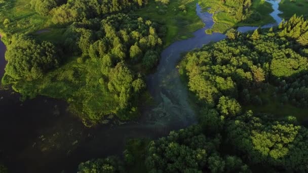청록색 물 과푸른 나무가 있는 호수. 강, 숲, 호수가 있는 풍경 — 비디오