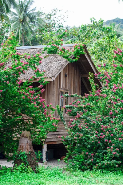 Holzbungalow im tropischen Dschungel mit Palmen — Stockfoto