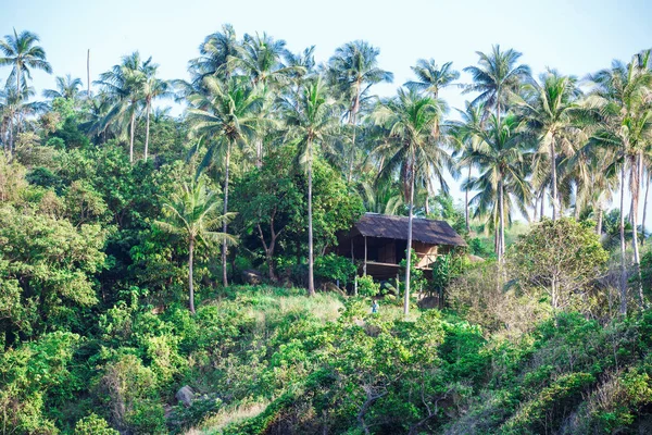 Holzbungalow im tropischen Dschungel mit Palmen — Stockfoto