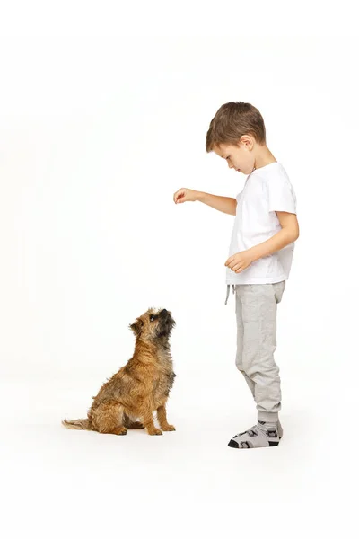 Mały chłopiec jest szkolenie strzał studio psa — Zdjęcie stockowe