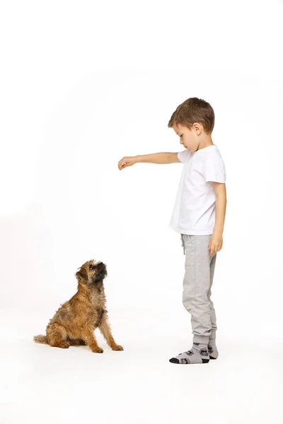 Menino está treinando o cão estúdio tiro — Fotografia de Stock