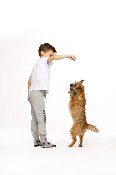 Pequeño niño está entrenando el perro estudio disparo — Foto de Stock