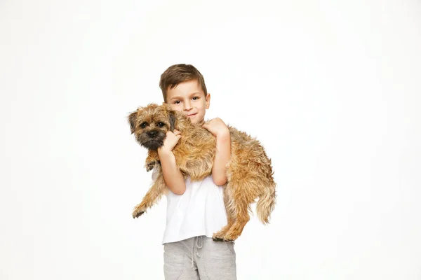 Menino está abraçando o cão estúdio tiro — Fotografia de Stock