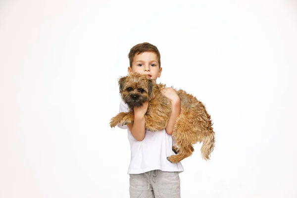 Menino está abraçando o cão estúdio tiro — Fotografia de Stock