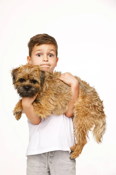 Niño pequeño está abrazando el perro estudio disparo — Foto de Stock