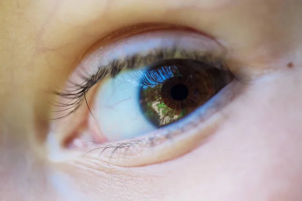 Beautiful brown eyes of a little boy — Stock Photo, Image