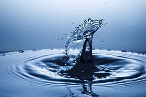 suya düşen su damlası 