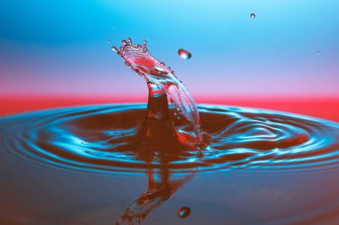 suya düşen su damlası 