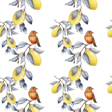 Canlı desen beyaz arka planda suluboya stili limon ve kuşları içerir..