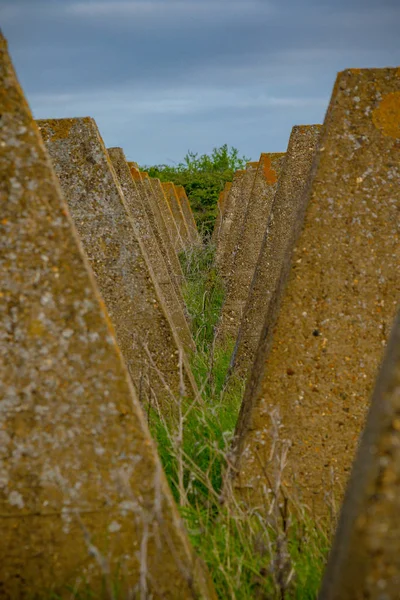 Coastal Defences Isle Grain Kent Royaume Uni World War Defend — Photo