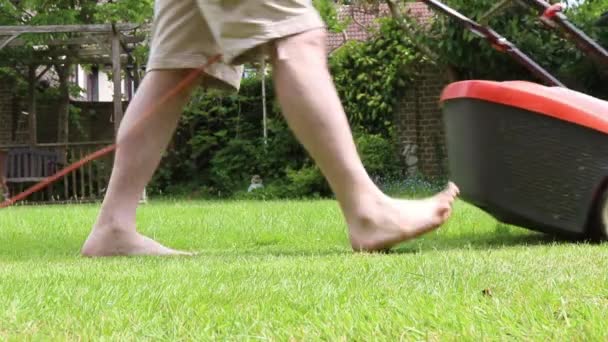 電気芝刈り機は芝生を刈る — ストック動画
