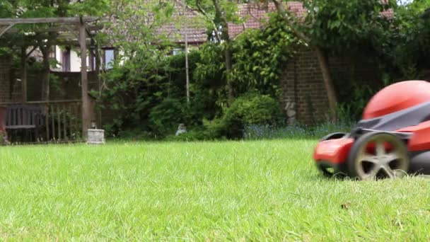 Cortando Césped Con Una Segadora Eléctrica — Vídeo de stock