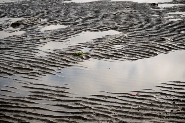 Exposed Mudflats Isle Grain Low Tide — Stock Photo, Image